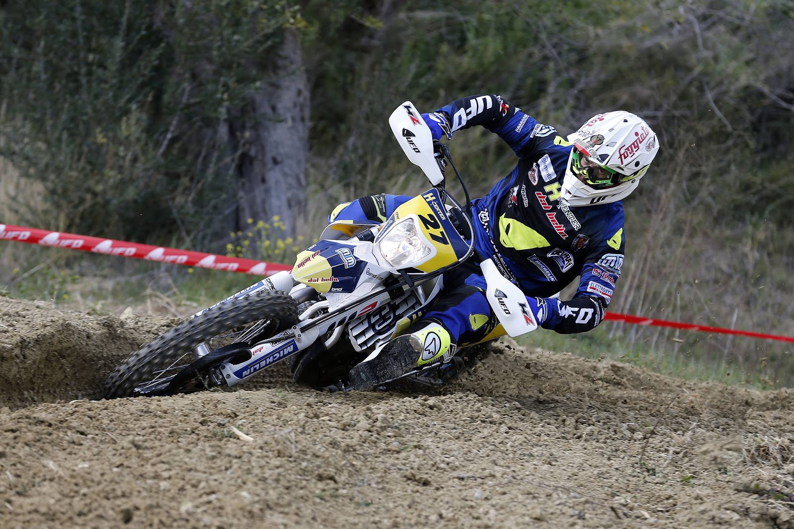 micheluz34
